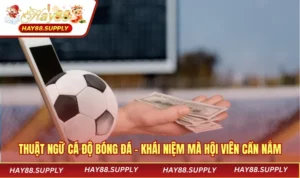 Thuật Ngữ Cá Độ Bóng Đá