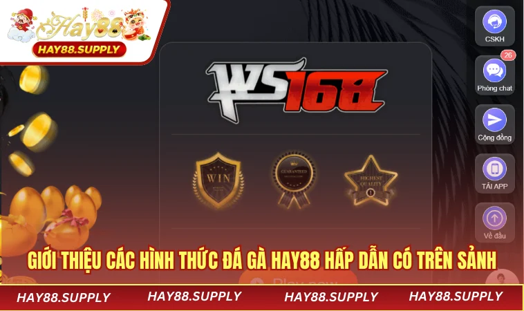 Giới thiệu các hình thức đá gà HAY88 hấp dẫn có trên sảnh