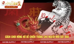 Cách Chơi Rồng Hổ