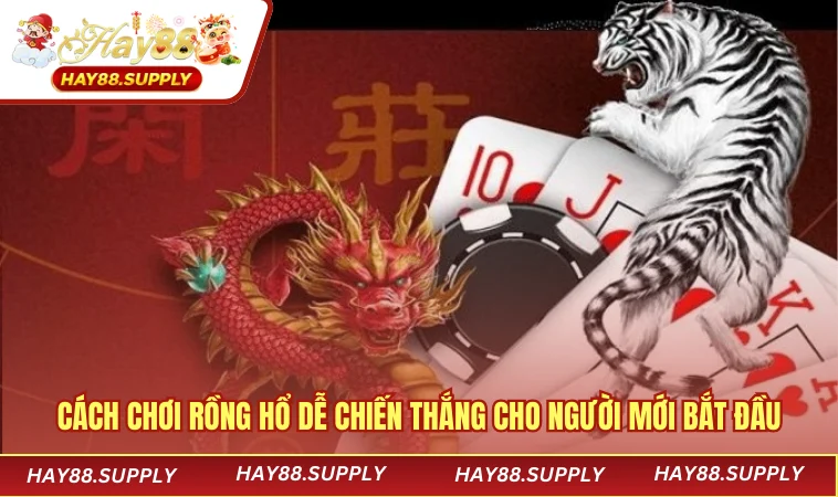 Cách Chơi Rồng Hổ