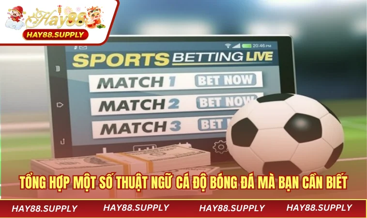 Tổng hợp một số thuật ngữ cá độ bóng đá mà bạn cần biết