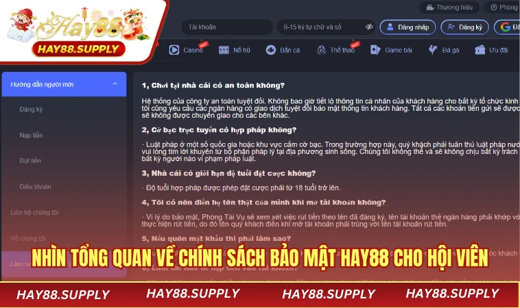 Nhìn tổng quan về chính sách bảo mật HAY88 cho hội viên