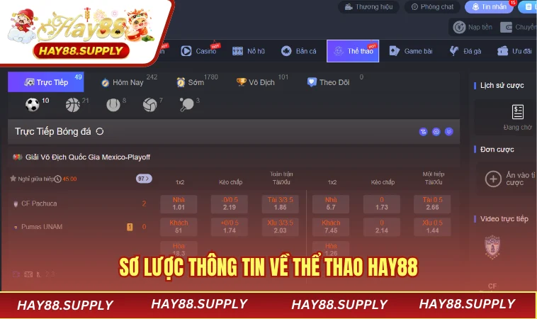 Sơ lược thông tin về thể thao HAY88
