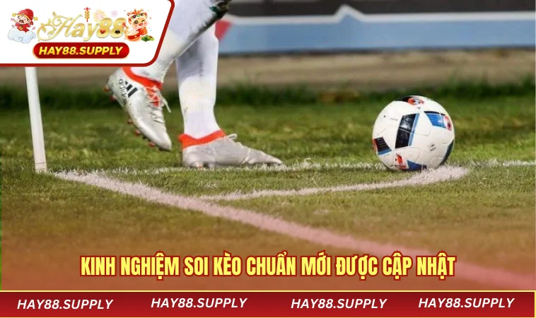 Kinh nghiệm soi kèo chuẩn mới được cập nhật
