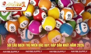 soi cầu bạch thủ miền bắc