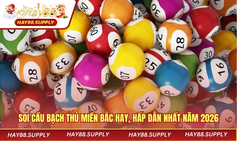 soi cầu bạch thủ miền bắc